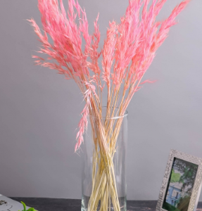 Avena 30pz 60cm rosa